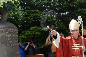 dsc_5568--2----kopie.jpg